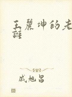王丽坤的老公是谁