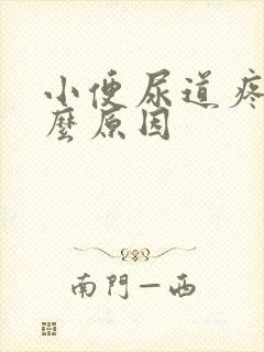小便尿道疼痛什么原因