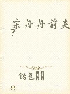 宋丹丹前夫是谁?