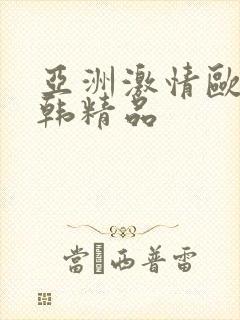 亚洲激情欧美日韩精品
