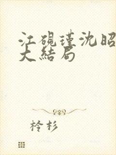 江砚瑾沈昭小说大结局