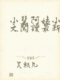 小慧阿姨小辉全文阅读最新章节更新