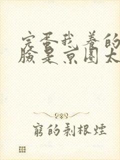 完蛋我养的小白脸是京圈太子爷短剧