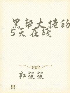 黑帮大佬的365天在线