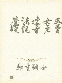 魔法坏女巫2在线观看免费版高清封面