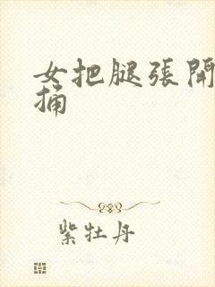 女把腿张开让男捅