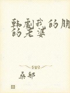 韩剧我的朋友他的老婆封面