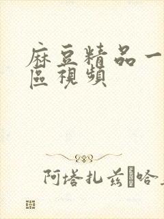 麻豆精品一区二区视频