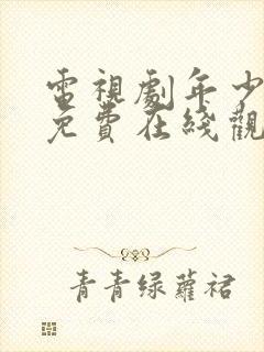 电视剧年少有为免费在线观看