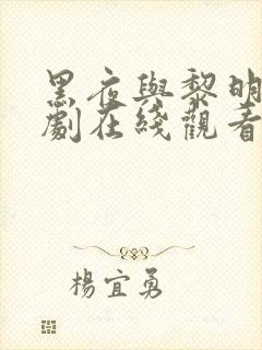 黑夜与黎明电视剧在线观看免费高清