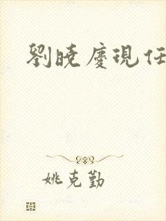 刘晓庆现任丈夫