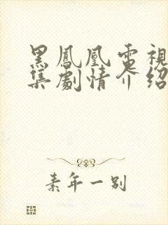 黑凤凰电视剧分集剧情介绍大结局封面