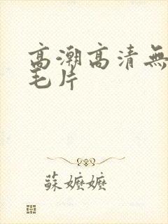 高潮高清无遮挡毛片