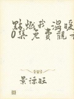 点燃我温暖你30集免费观看