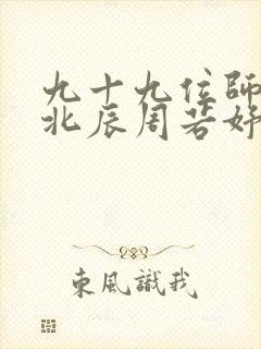 九十九位师傅叶北辰周若妤