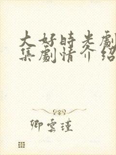 大好时光剧情分集剧情介绍封面