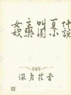 女主叫夏什么的娱乐圈小说