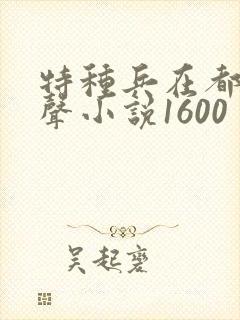 特种兵在都市有声小说1600