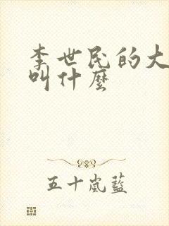 李世民的大儿子叫什么