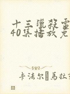 十三猎杀电视剧40集播放免费观看
