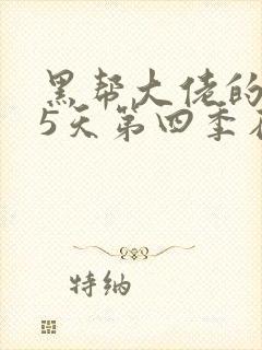 黑帮大佬的365天第四季在线观看
