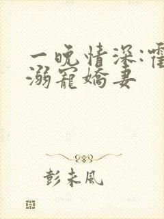 一晚情深:霍少溺宠娇妻