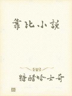 靠比小说