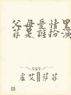 父母爱情里的亚菲是谁扮演的