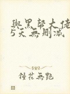 与黑帮大佬365天无删减封面