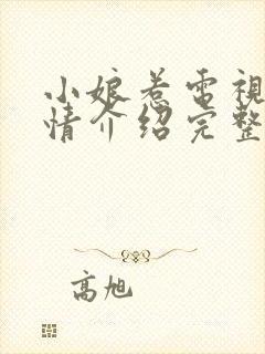 小娘惹电视剧剧情介绍完整