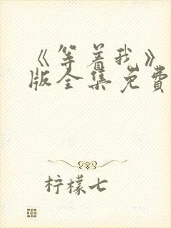 《等着我》完整版全集免费观看封面