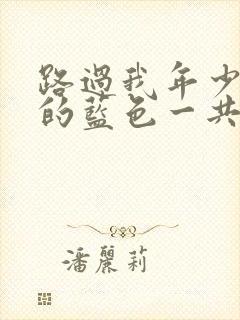 路过我年少时光的蓝色一共多少集