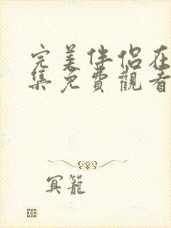 完美伴侣在线全集免费观看