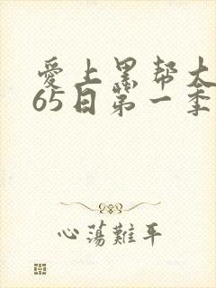 爱上黑帮大佬365日第一季封面
