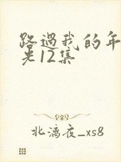 路过我的年少时光12集封面
