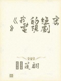 《我的绝密生涯》电视剧封面