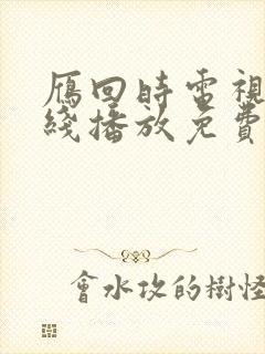 雁回时电视剧在线播放免费