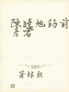 陈晓旭的前夫毕彦君
