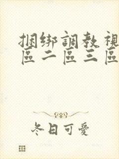 捆绑调教视频一区二区三区