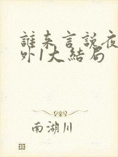 谁来言说夜晚番外1大结局