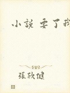 小说 要了我吧