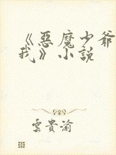《恶魔少爷爱上我》小说封面