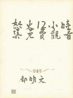 怒火12小时全集免费观看完整版高清