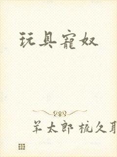 玩具宠奴封面