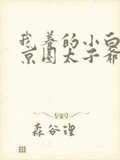 我养的小白脸是京圈太子爷短剧高清