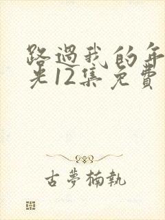 路过我的年少时光12集免费观看