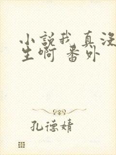 小说我真没想重生啊 番外