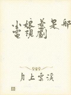 小娘惹是哪里的电视剧