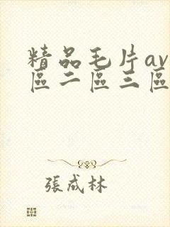 精品毛片av一区二区三区封面