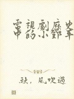 电视剧历史转折中的小邓平演员表